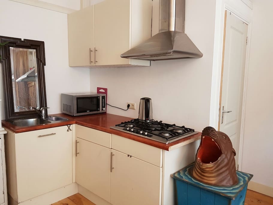 kitchenette with oven, microwave, refrigerator , sink and stove