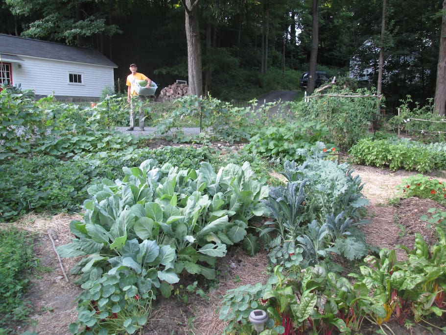 You'll see our garden from your window in summer.