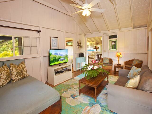 Hanalei Cottage A/C across from HanaleiBay TVR1091 gallery image 3