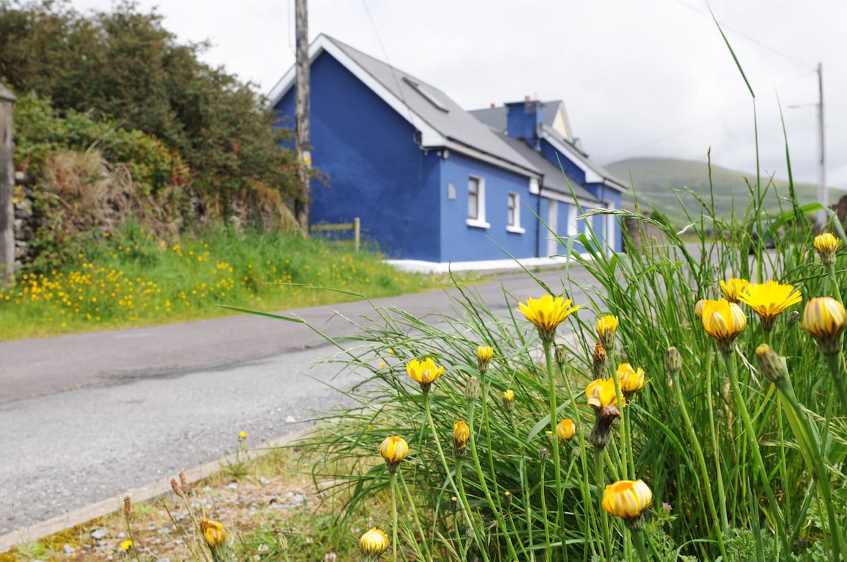 A vibrant blue cottage is visible alongside a quiet road, surrounded by lush greenery and dotted with yellow flowers. The structure features white window frames and a sloped roof, complementing the natural landscape of rolling hills in the distance.