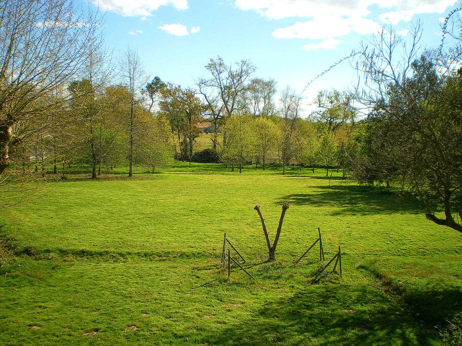 Parc avant de la propriété.