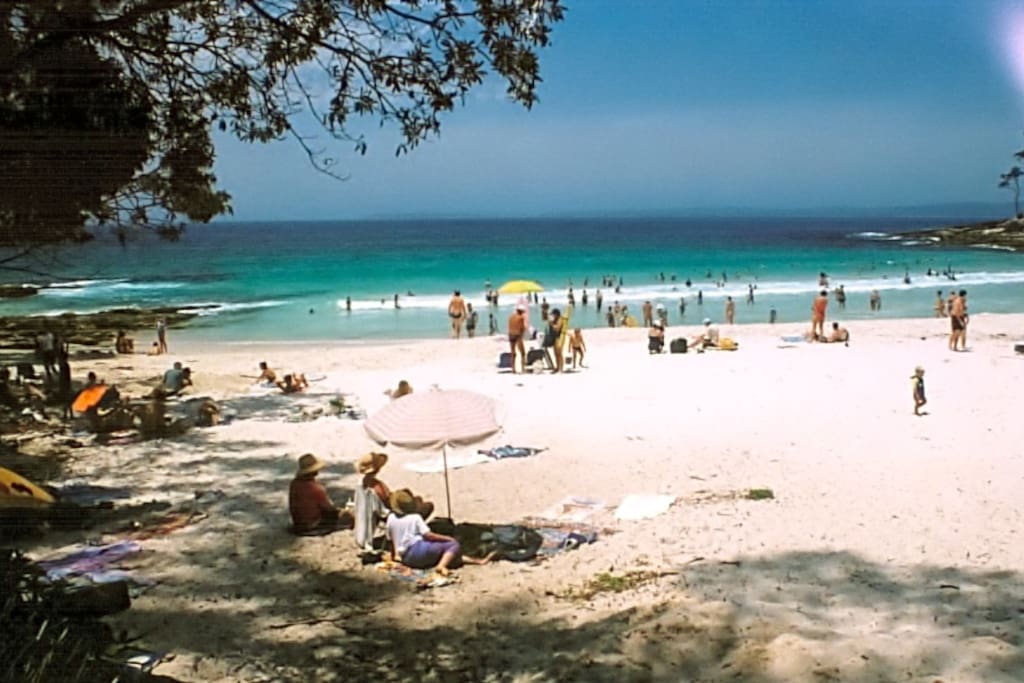 The crowd, Blenheim Beach at Christmas
