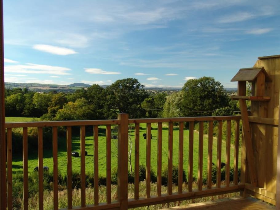 View from Decking, Feed the Birds too