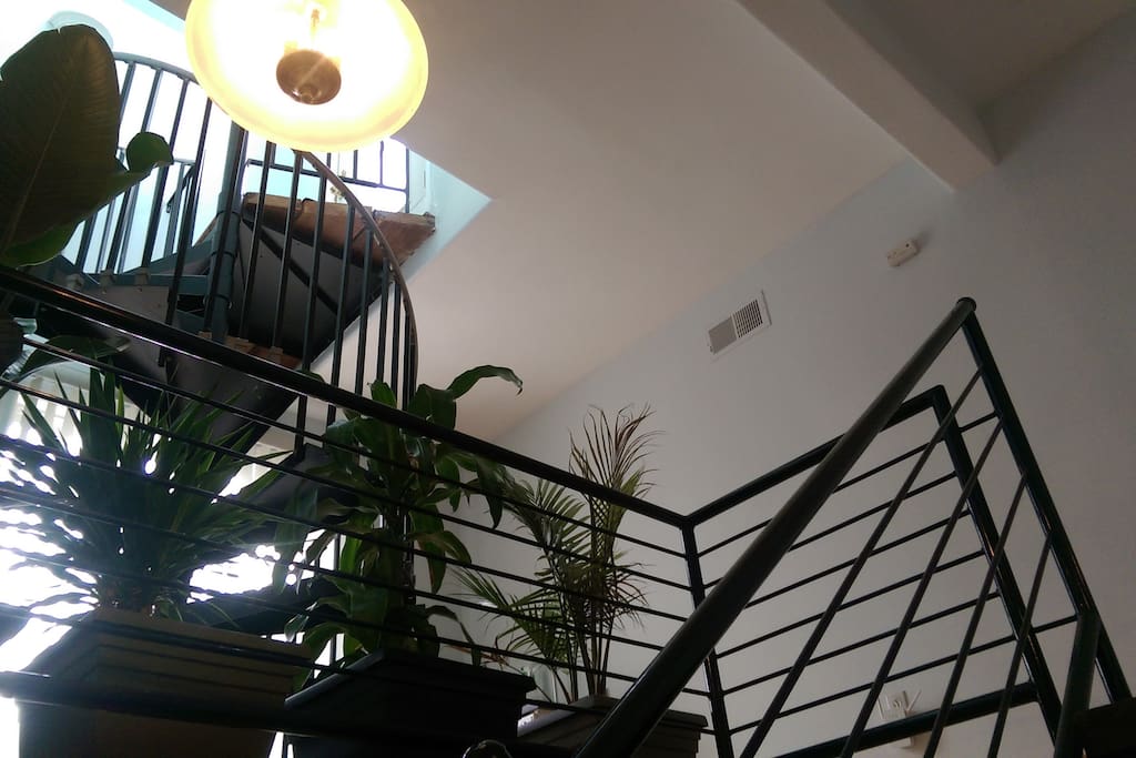 Small jungle outside of the master suite on the 4th floor and stairs up to the rooftop deck!