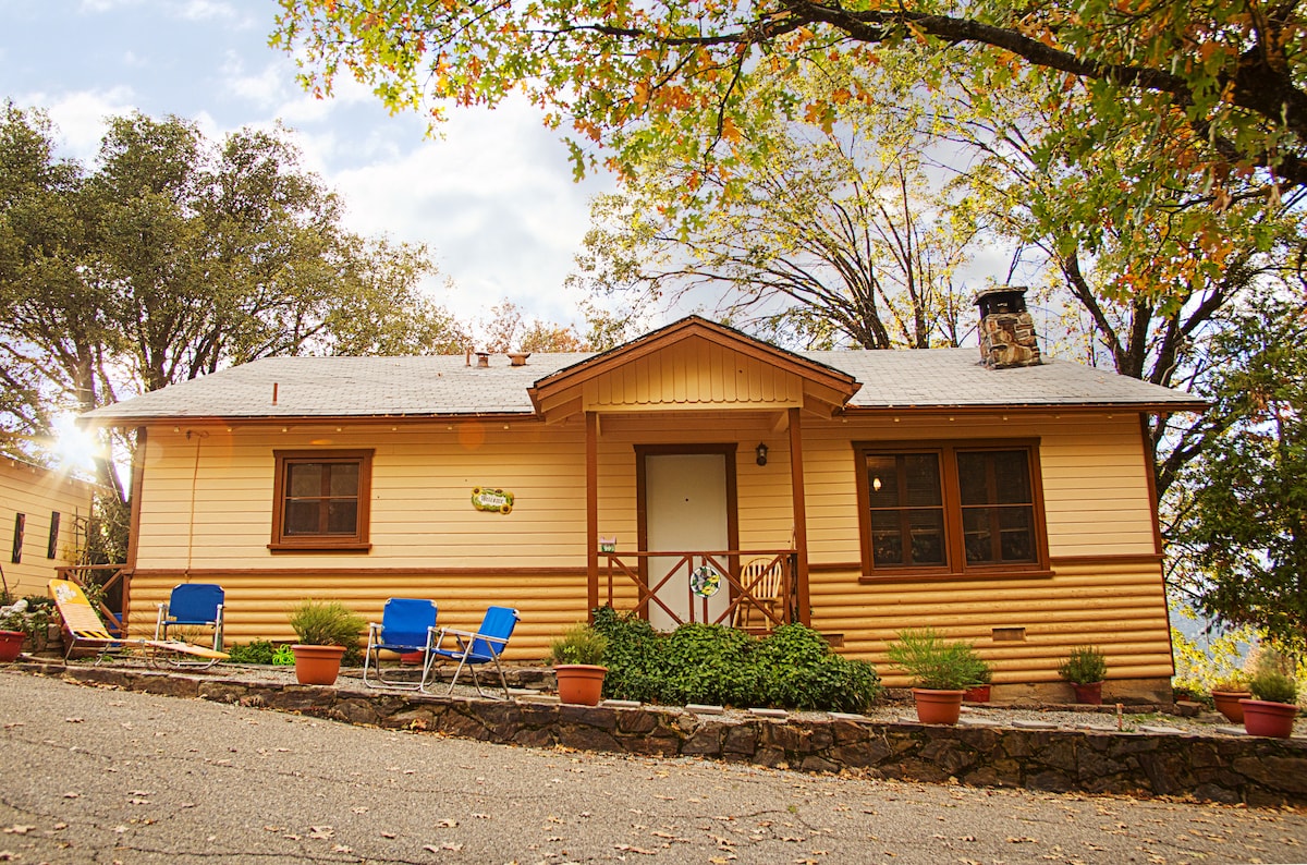 A charming single-story home with warm wooden siding features a covered front porch. Potted plants line the entrance, and two blue chairs are positioned on the porch. The driveway is lined with gravel, surrounded by trees and soft sunlight filtering through the leaves.