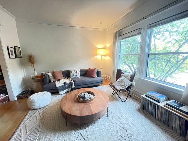 Modern Portland Craftsman in heart of Mississippi gallery image 5