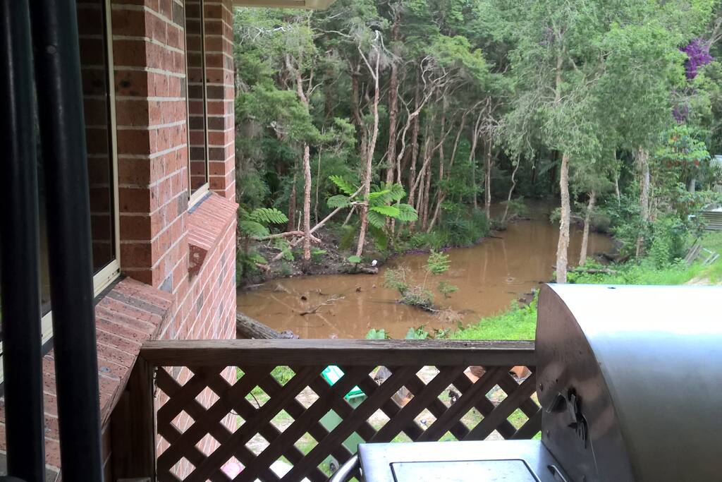 Outlook onto the creek and Rainforest