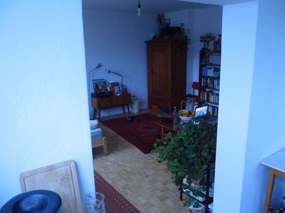 Küche-Wohnzimmer/Schlafzimmer