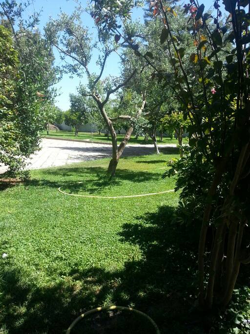 Un angolo del giardino
