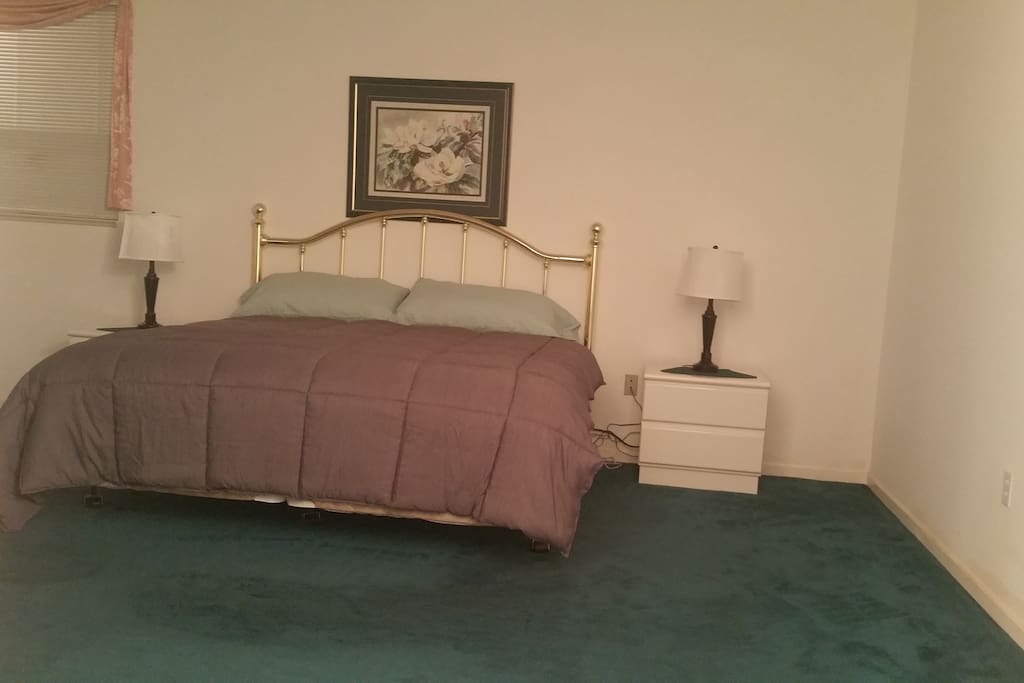 Roomy master bedroom with king bed.