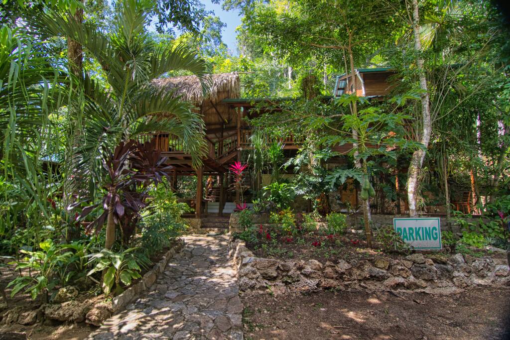 The Toucan House Belize vacation rental at Better in Belize Eco-Village