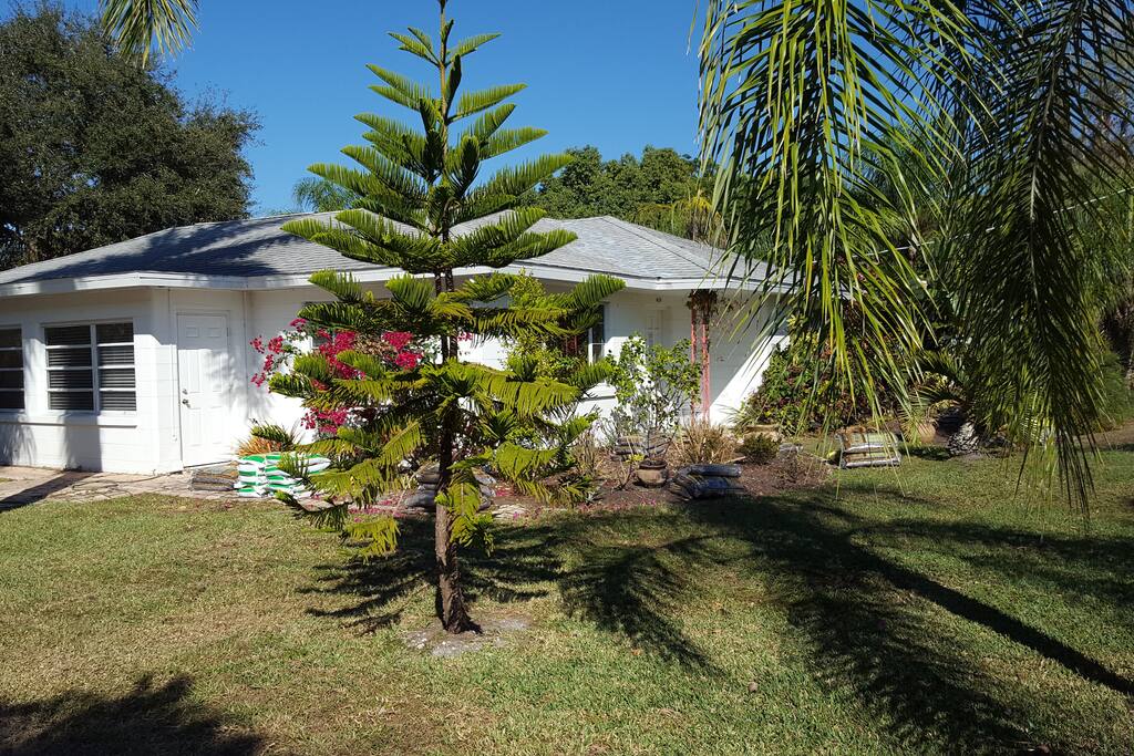 Side yard