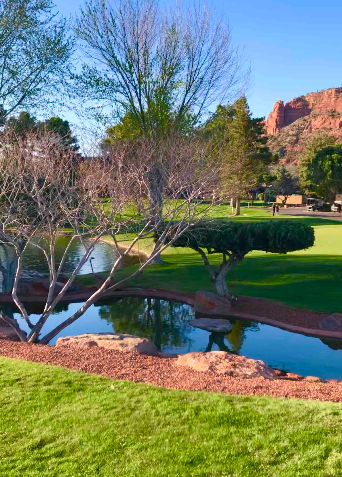 A serene golf course landscape is depicted, featuring a still pond reflecting the surrounding greenery and rock formations. Leafless trees frame the scene, while manicured grass surrounds the water, creating a peaceful outdoor setting.