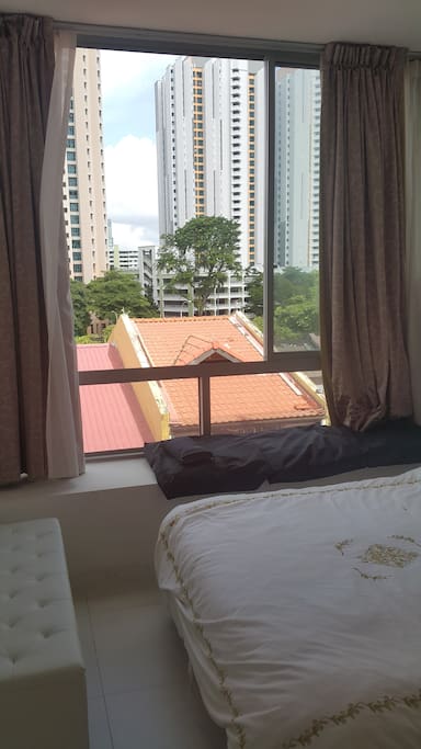 Window View