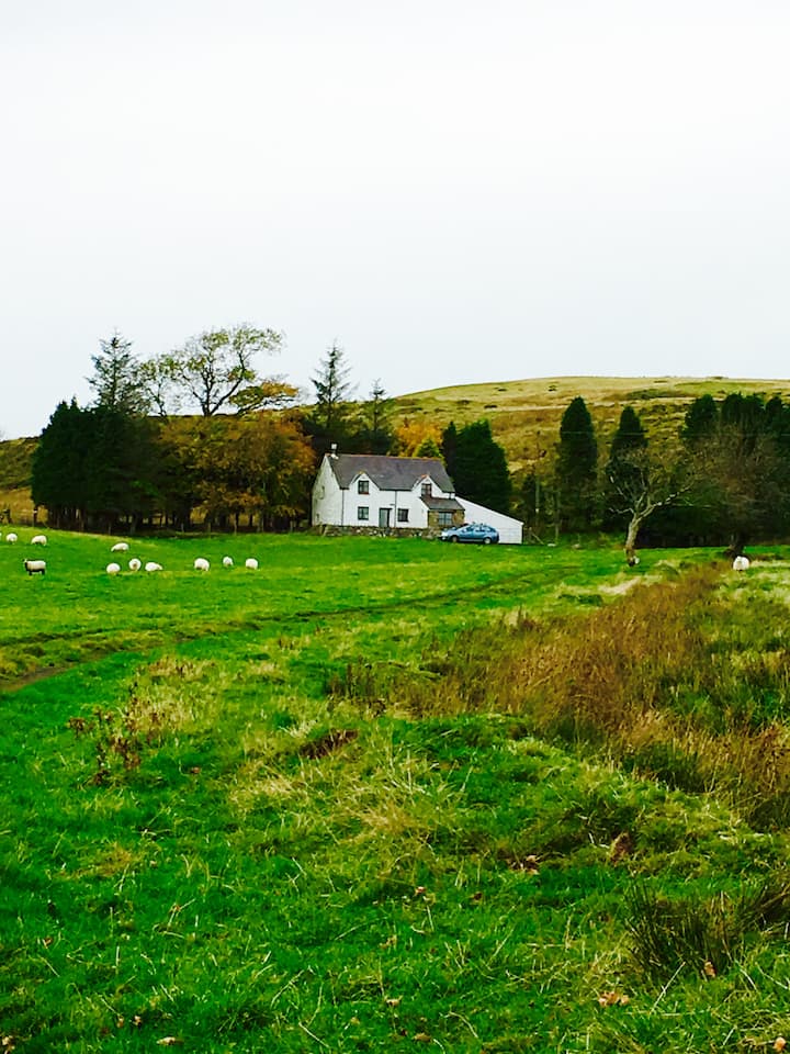 Welsh cottage on the moors near Bala Cottages for Rent in Gwynedd, Wales, United Kingdom Airbnb