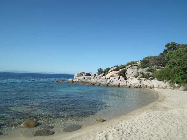 Apartment Southern Corsica near sea Apartments for Rent in Monaciad