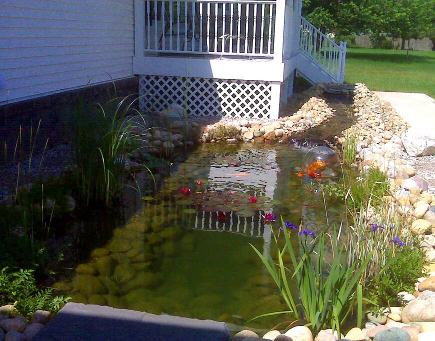 Koi Pond
