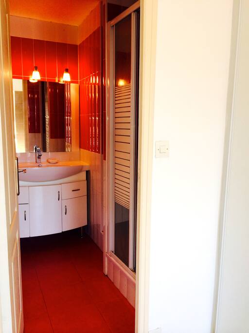 Salle d'eau avec grande douche