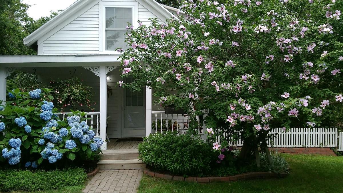 cape cod airbnb pet friendly cape cod airbnb pet friendly