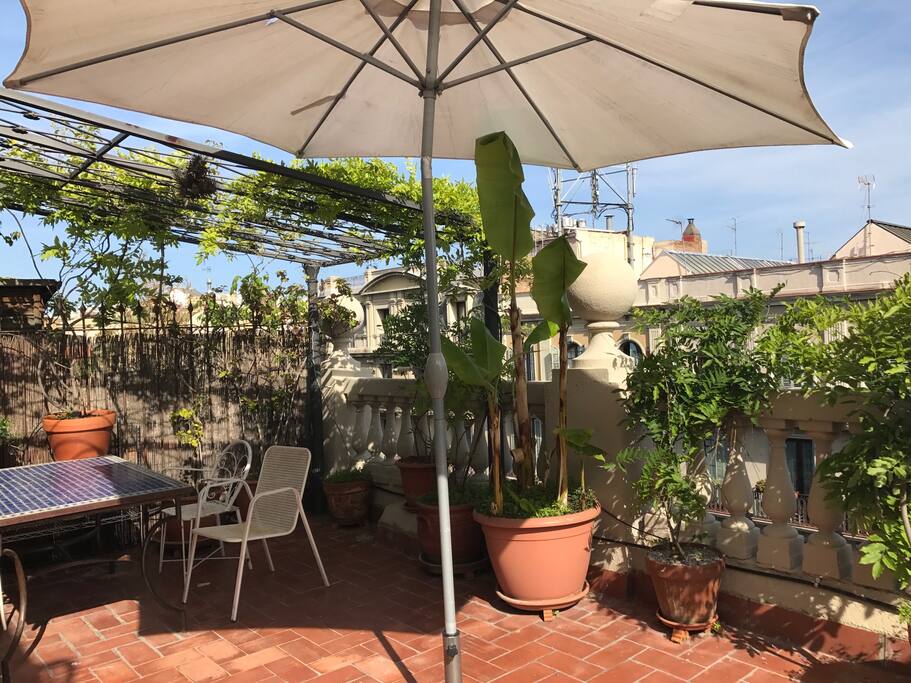Terraza