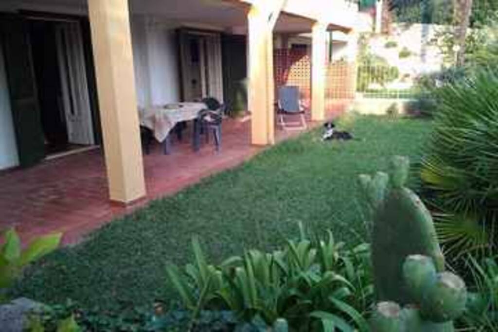 Veranda and garden in the front of the house