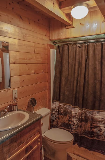 Downstairs Bathroom 1