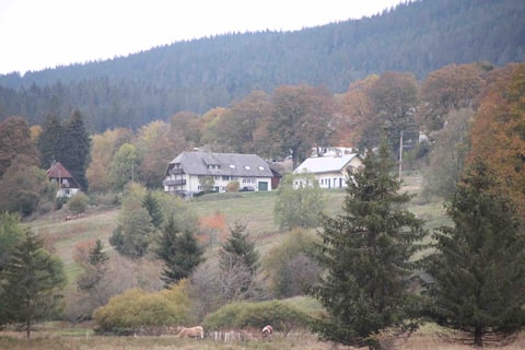 Top Airbnb: Ruhepol 4 directly at the Wolfmoos IV nature reserve in Lenzkirch