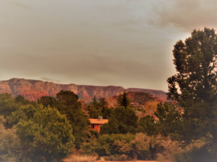 View from the patio.