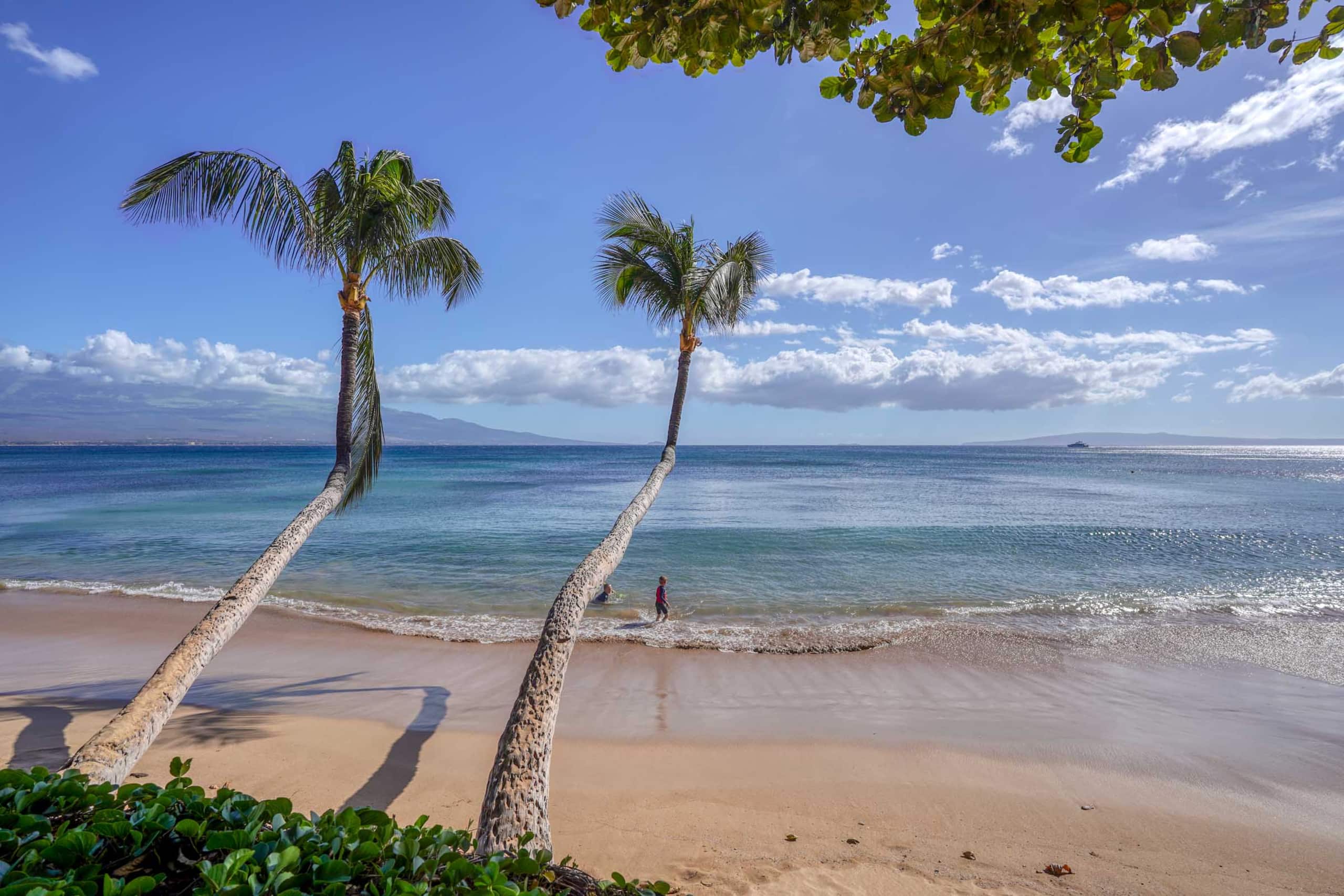 Condo in Wailuku · ★4.75 · 1 bedroom · 1 bed · 1 bath - Image 43