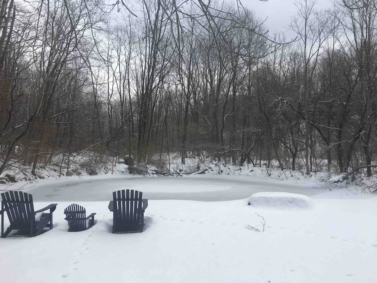 Three sturdy adirondack chairs are positioned on a snowy bank overlooking a frozen pond, surrounded by bare trees. A serene winter landscape is visible in the background, with light snow covering the ground and the surface of the pond.