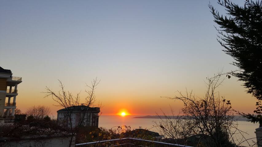 Wonderful sea view, swimming pool and city center. gallery image 4