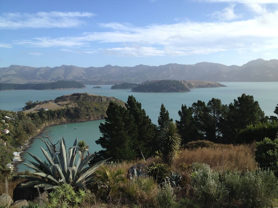 Local views.