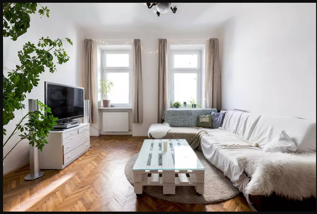 2nd bedroom/living room (the matress is not on the picture but same size as the bed)