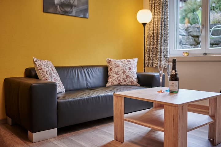 New renovated & cozy studio in a great location!