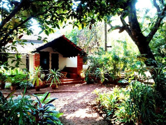 Airbnb Anjuna Beach Vacation Rentals Places To Stay