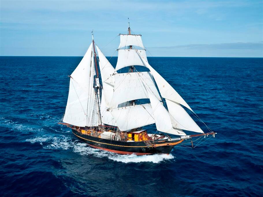 ... she is a beauty