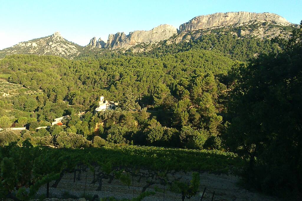 Notre village niché au coeur des Dentelles de Montmirail