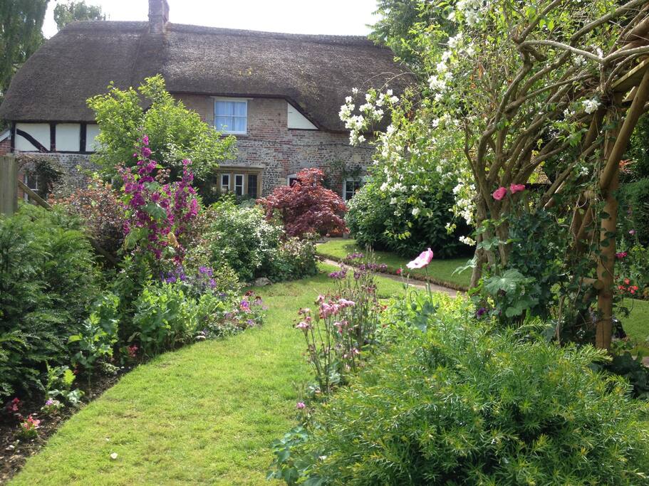 lush in summer full bloom...