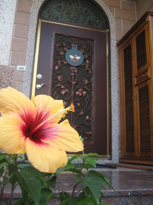 Welcome!