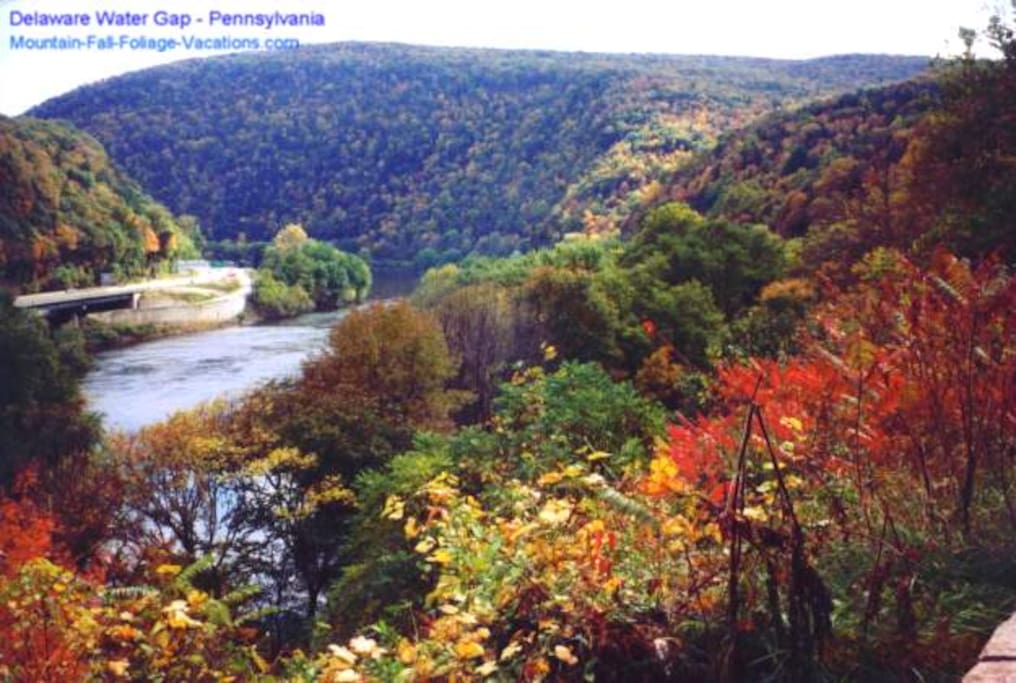 North Poconos are the perfect place for Fall Foliage Pics!