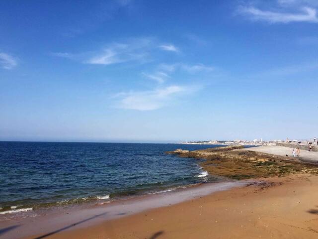 Beach Across the Street