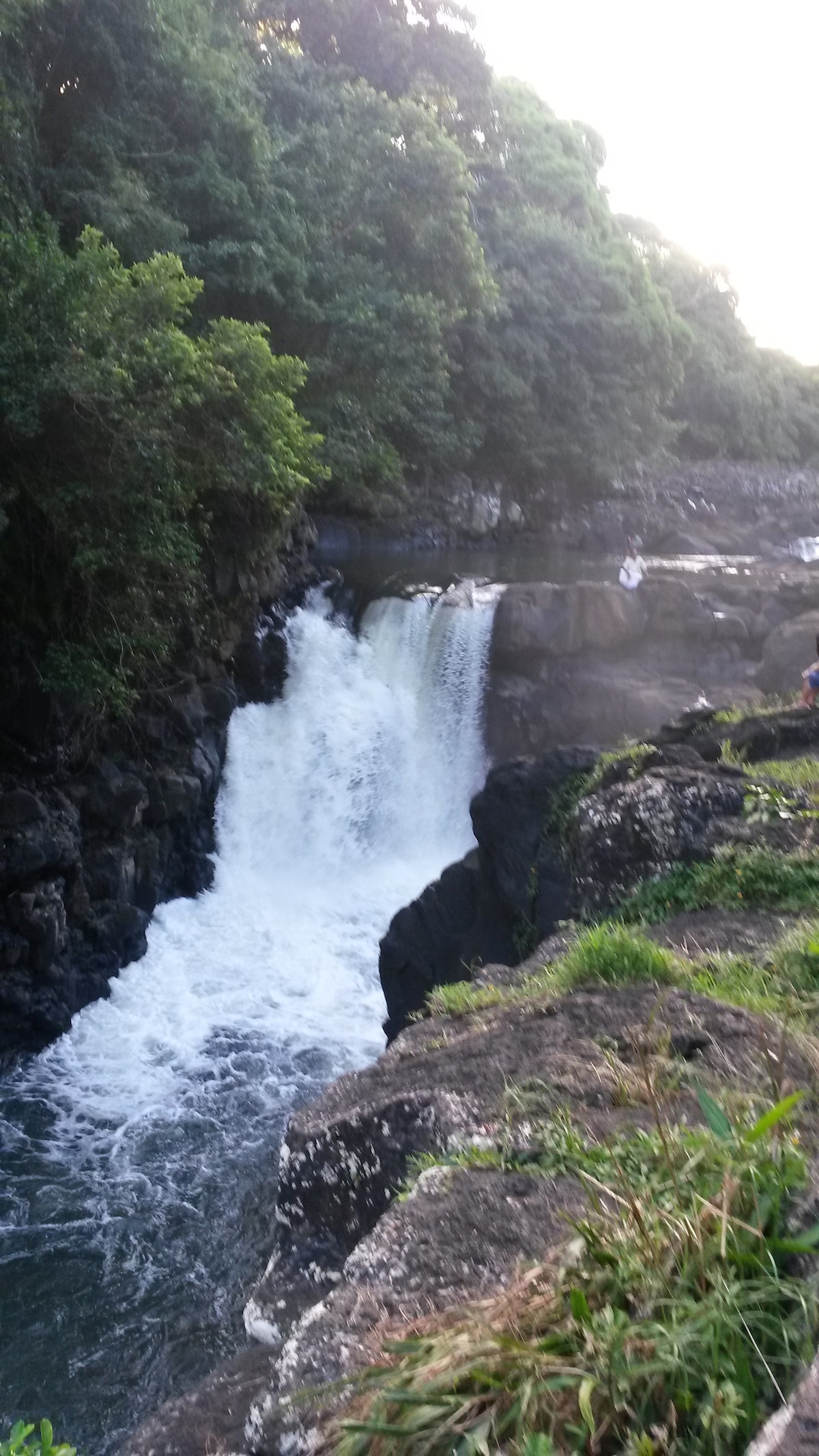 A flowing waterfall is observed cascading over dark rock cliffs, surrounded by lush greenery. The water creates a frothy white spray as it plunges into a rocky pool below. Sunlight gently illuminates the scene, enhancing the natural beauty of the area.