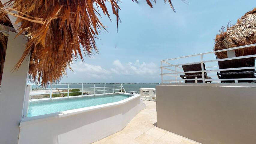 5 BDRM Waterfront Villa With Rooftop Plunge Pool gallery image 4
