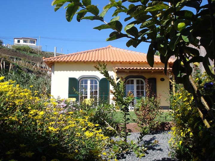 Madeira Holiday Cottage "Boal" - Autonome Region Madeira