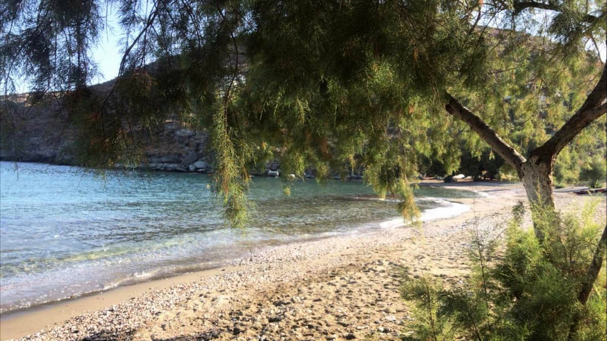 A serene beach setting is depicted, surrounded by trees and gentle waves. The sandy and pebbled shoreline meets clear blue water, reflecting sunlight. Vegetation adds a touch of natural greenery, creating a peaceful atmosphere for relaxation.