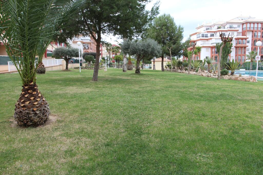 the garden