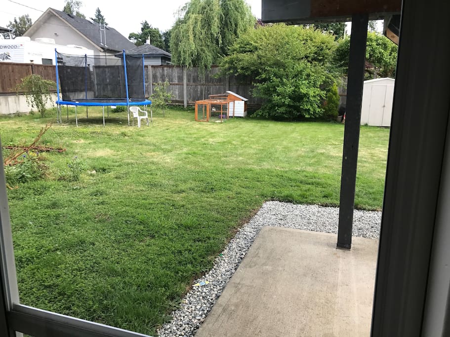 Backyard