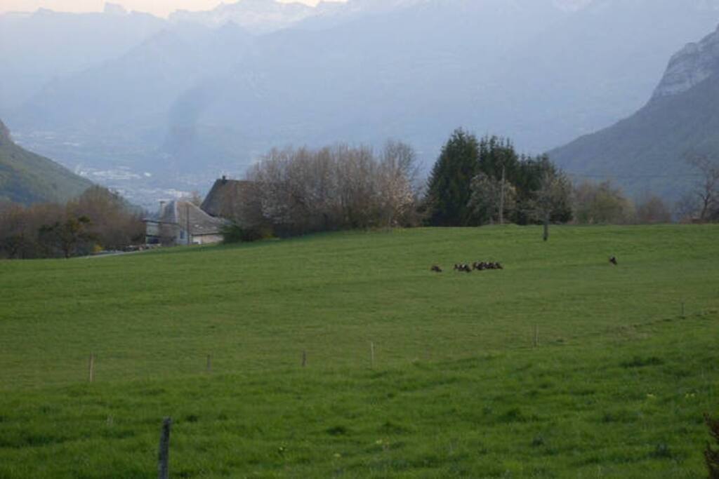 Vue sud ouest