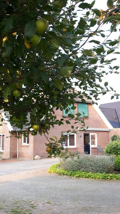 appartement vanuit de
boomgaard