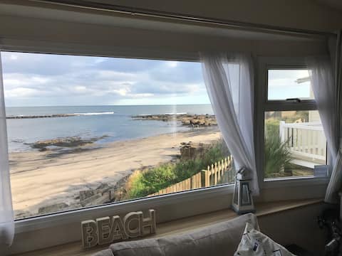Panoramic sea views, dolphins and seals!
